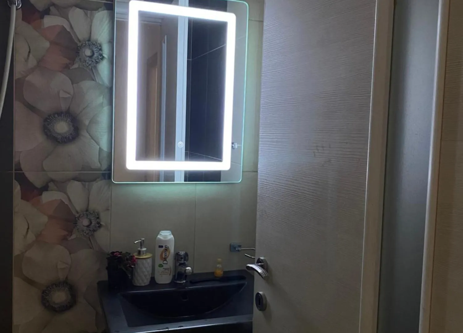 Main Apartment Tirana