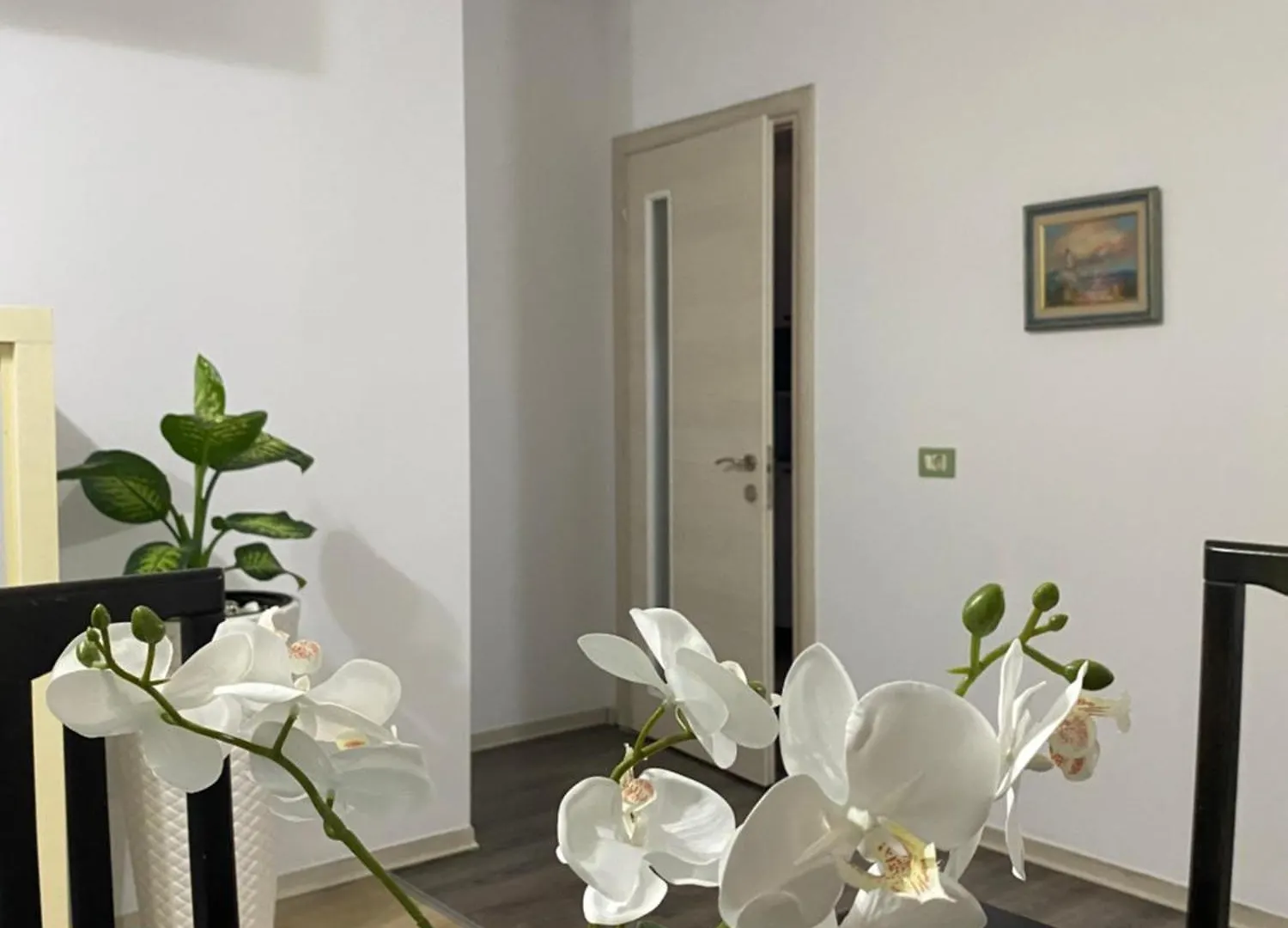 Main Apartment Tirana Albania