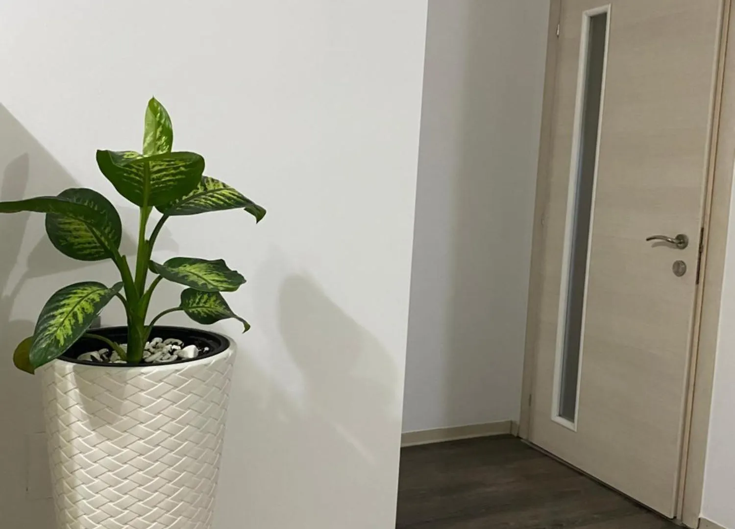 Main Apartment Tirana